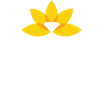 Teva Diamonds | Cart